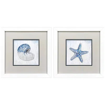 Paragon Azure Shell 11"w X 11"h Framed Art Set Of 2