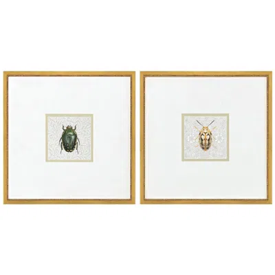 Paragon Beetles 13"w X 13"h Framed Wall Art Set Of 2