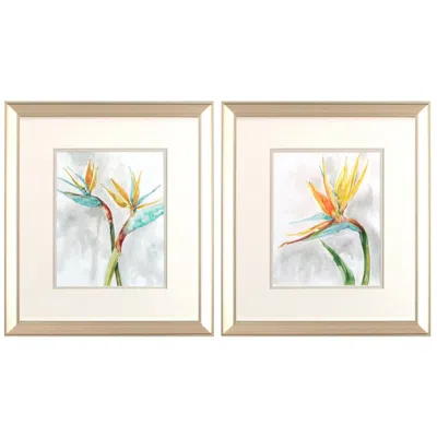 Paragon Bird Of Paradise 15"w X 17"h Framed Art Set Of 2