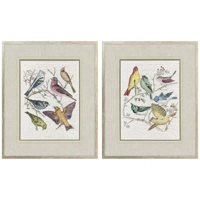 Paragon Bird Variety 19"w X 23"h Traditional Framed Art Set Of 2