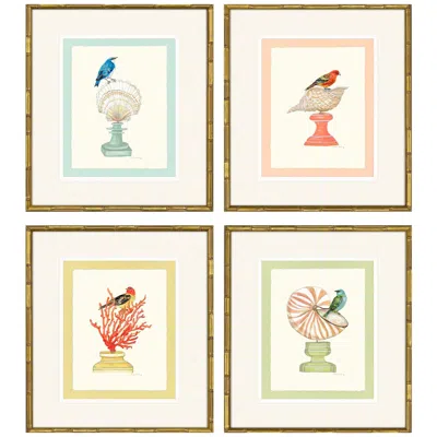 Paragon Bird With Shell 19"w X 22"h Framed Art Set Of 4