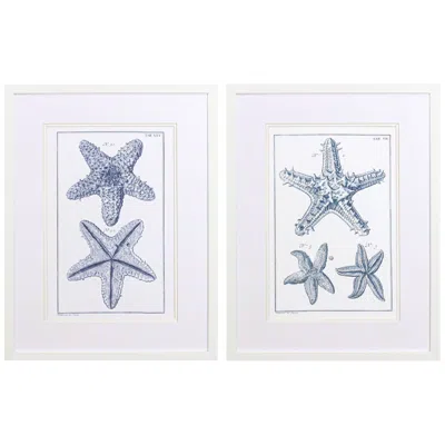 Paragon Blue Sea Stars B 25" High 2-piece Framed Wall Art Set