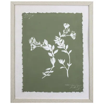 Paragon Botanical Garden I 20"w X 24"h Framed Art In White