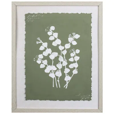 Paragon Botanical Garden Ii 20"w X 24"h Framed Art