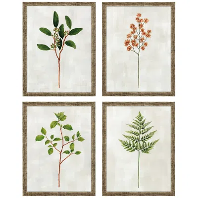 Paragon Botanical I 17" High 4-piece Giclee Framed Wall Art Set
