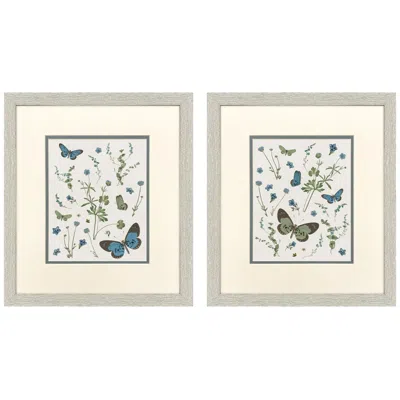 Paragon Botanical Page 14"w X 16"h Framed Art - Set Of 2 In Gray