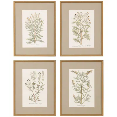Paragon Botanical Plants 20"w X 26"h Framed Art Set Of 4