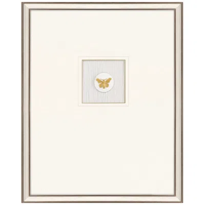 Paragon Butterfly Intaglio 20"w X 25"h Framed Art