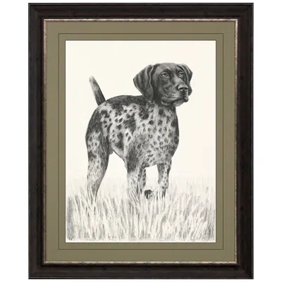 Paragon Canine Gaze 44" High Rectangular Giclee Framed Wall Art