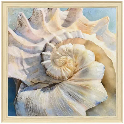 Paragon Center Shell 40"w X 40"h Framed Art