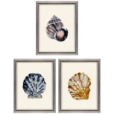 Paragon Coastal Collection I 13"w X 17"h Framed Art - Set Of 3 In Multi