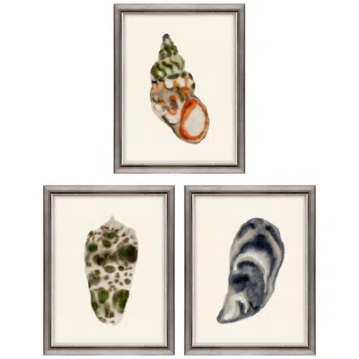 Paragon Coastal Collection Ii 13"w X 17"h Framed Art - Set Of 3 In Multi