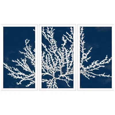 Paragon Coastal Coral 13"w X 25"h Framed Art Set Of 3