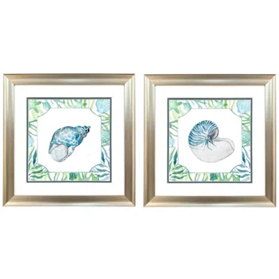 Paragon Coastal Shell 19"w X 19"h Framed Art - Set Of 2 In Multi