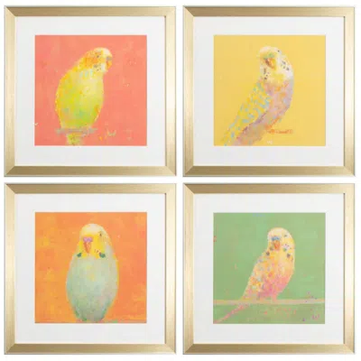 Paragon Colorful Bird B 18"w X 18"h Framed Art Set Of 4