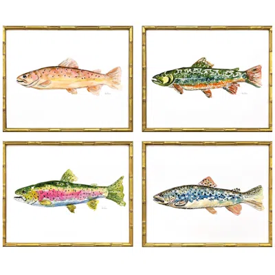 Paragon Colorful Trout 21"w X 17"h Coastal Framed Art Set Of 4