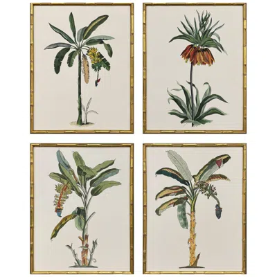 Paragon Contemporary Palm I 19"w X 25"h Coastal Framed Art Set Of 4