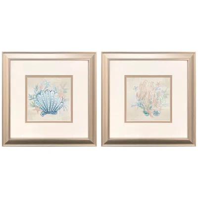 Paragon Coral Reef Shells 12"w X 12"h Framed Art - Set Of 2 In Neutral