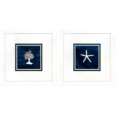 Paragon Coral Starfish 23"w X 23"h Framed Wall Art Set Of 2