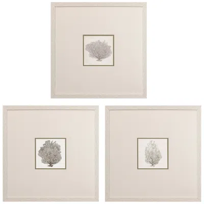 Paragon Corals A 19" Square 3-piece Printed Framed Wall Art Set
