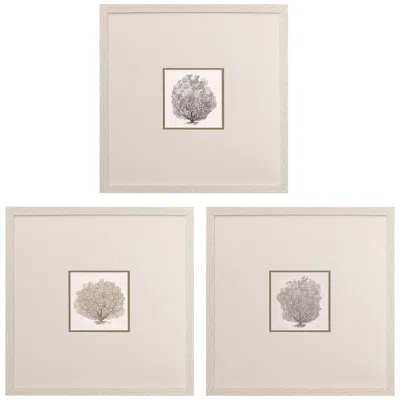 Paragon Corals B 19" Square 3-piece Printed Framed Wall Art Set