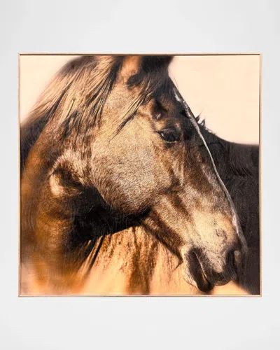 Paragon Decors Brown Horse Framed Giclee By Danita Delimont