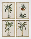 Paragon Decors Contemporary Palm I Framed Giclees, Set Of 4