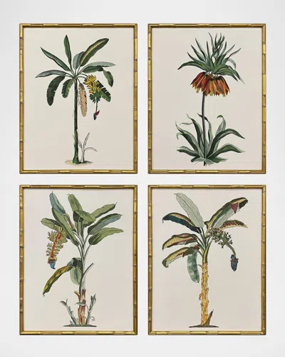 Paragon Decors Contemporary Palm I Framed Giclees, Set Of 4
