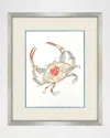 Paragon Decors Crab Celebration Ii Framed Giclee