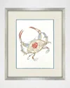 Paragon Decors Crab Celebration Ii Framed Giclee In Multi