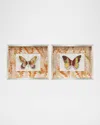Paragon Decors Flight Patterns Ii Alternative Wall Art