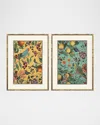 Paragon Decors Floral Fruit Garden Framed Giclees, Set Of 2