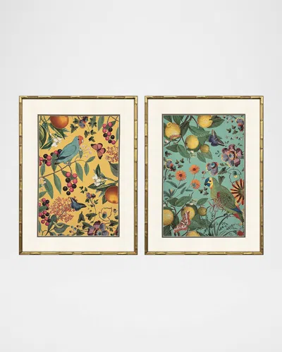 Paragon Decors Floral Fruit Garden Framed Giclees, Set Of 2