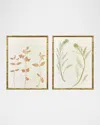 Paragon Decors Floral Trace I Framed Giclees, Set Of 2
