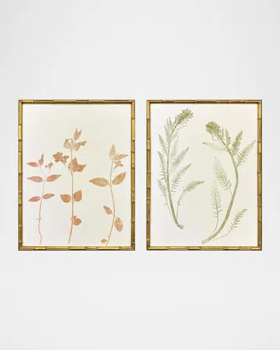 Paragon Decors Floral Trace I Framed Giclees, Set Of 2
