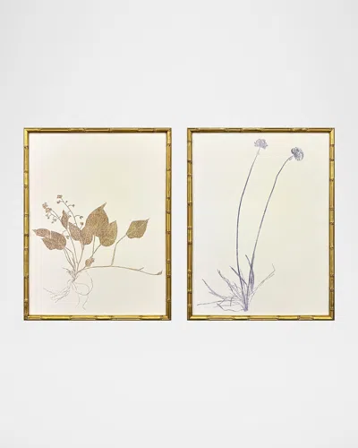 Paragon Decors Floral Trace Ii Framed Giclees, Set Of 2