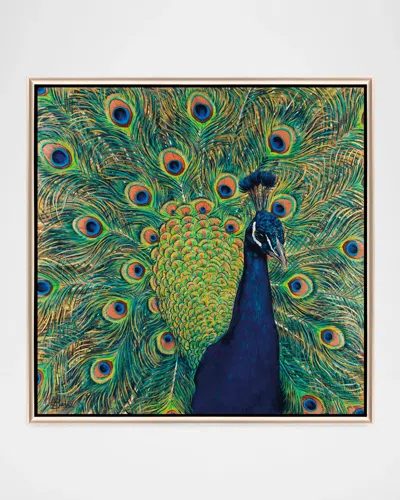 Paragon Decors Peacock Plumage Framed Giclee By Banks In Multi