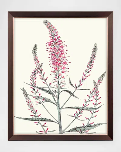 Paragon Decors Pink Veronique I Framed Giclee By G Studio In Multi