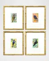Paragon Decors Sassy Birds Framed Giclees By Susan Adamson-ray, Set Of 4