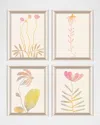 Paragon Decors Soft Bloom Framed Giclees By Aurora Bell, Set Of 4