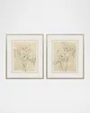 Paragon Decors Spring Promises Framed Giclees, Set Of 2 In Multi