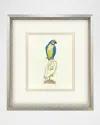 Paragon Decors Treasure Parrot I Hand-embellished Giclee By Popjoy Studio