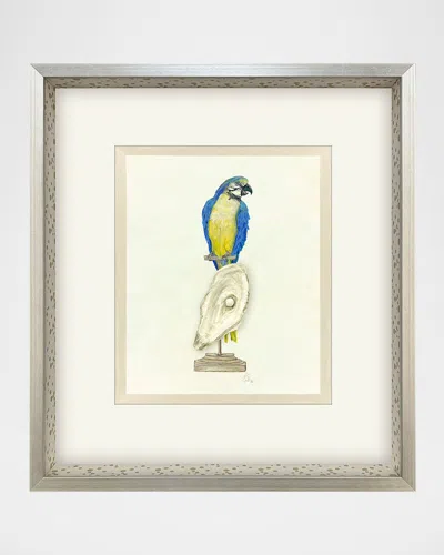 Paragon Decors Treasure Parrot I Hand-embellished Giclee By Popjoy Studio