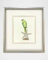 Paragon Decors Treasure Parrot Ii Hand-embellished Giclee By Popjoy Studio