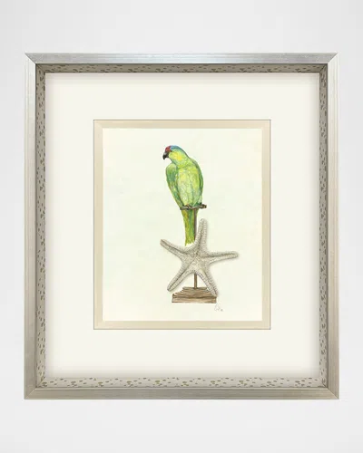 Paragon Decors Treasure Parrot Ii Hand-embellished Giclee By Popjoy Studio