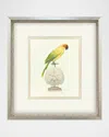 Paragon Decors Treasure Parrot Iii Hand-embellished Giclee By Popjoy Studio