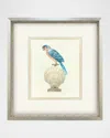 Paragon Decors Treasure Parrot Iv Hand-embellished Giclee By Popjoy Studio