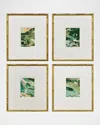 Paragon Decors Verdant Fusion Framed Giclees By Anne Rushout, Set Of 4