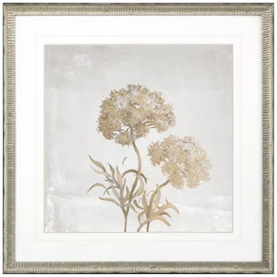 Paragon Delicate Beauty I 35" Square Giclee Framed Wall Art