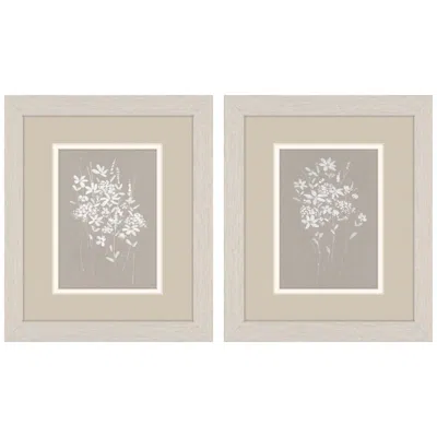 Paragon Delicate Botanicals 9"w X 11"h Framed Art Set Of 2 In Brown